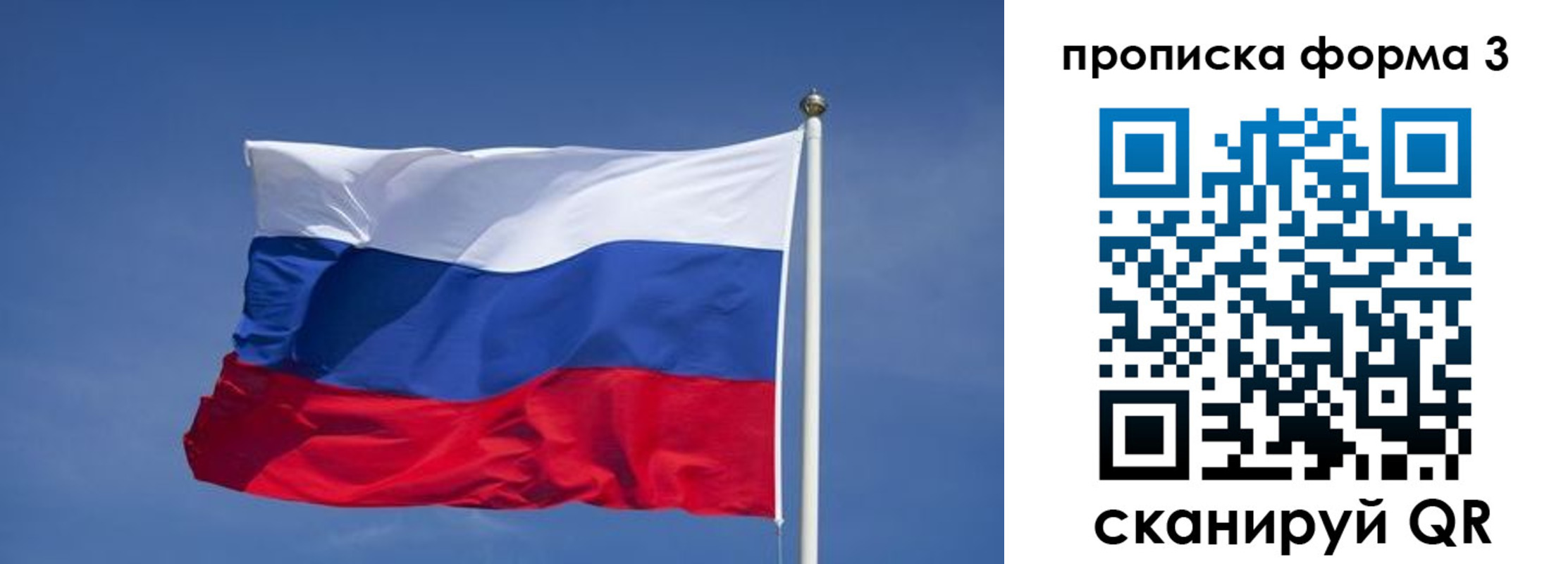прописка 2025 в Сольцах