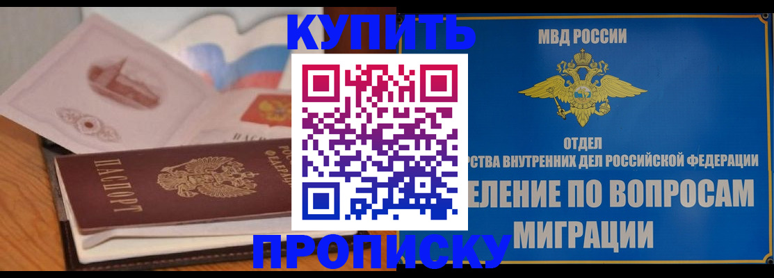 прописка законно в Сольцах